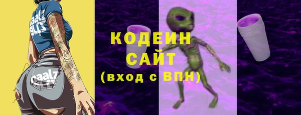 PSILOCYBIN Ельня