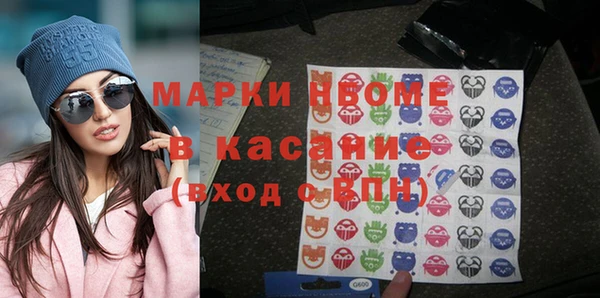 PSILOCYBIN Ельня