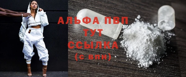 индика Елизово