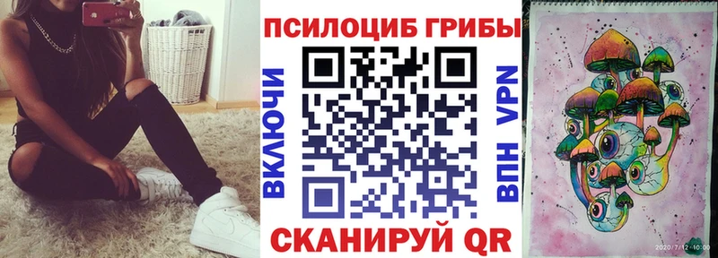 Псилоцибиновые грибы Psilocybe  Купить  Липки 